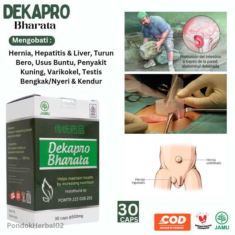 OBAT HERNIA Usus Turun Atau Turun Bero Kemasan 500mg