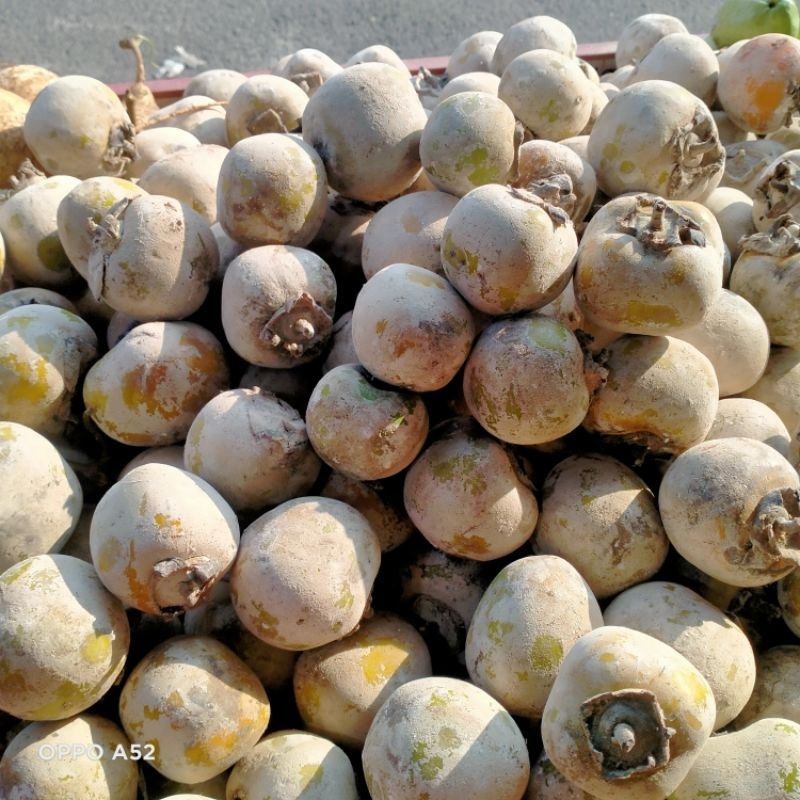 

BUAH Kesemek 500gr