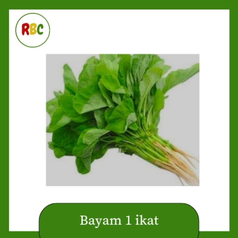 

Bayam segar 1 ikat