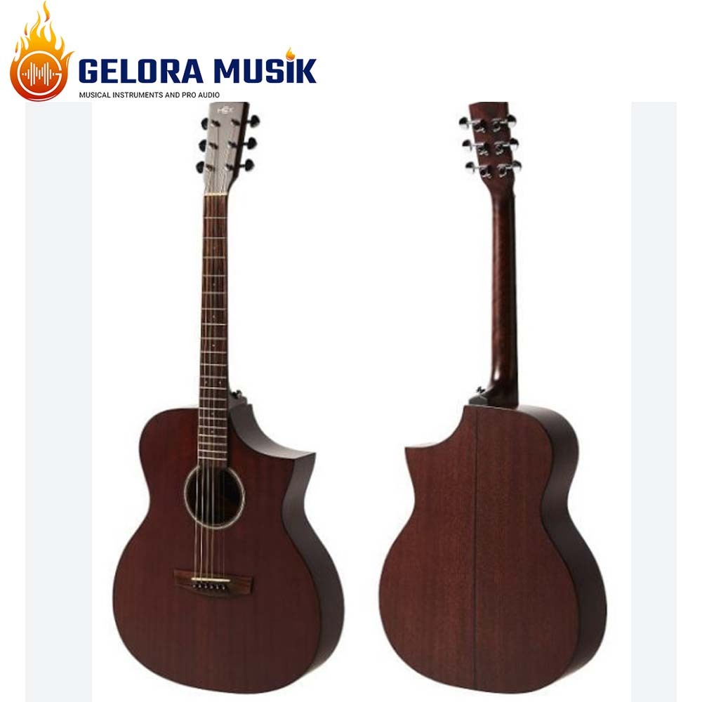 Gitar Akustik Hex F120CE M