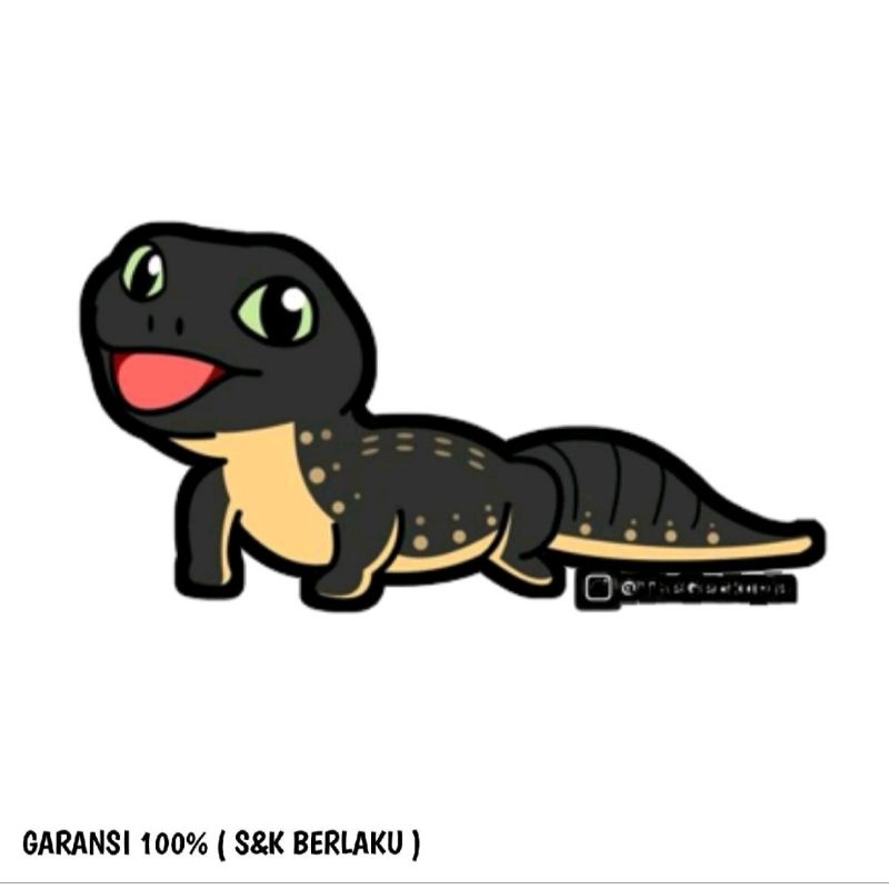 

sticker motif gecko - co khusus live
