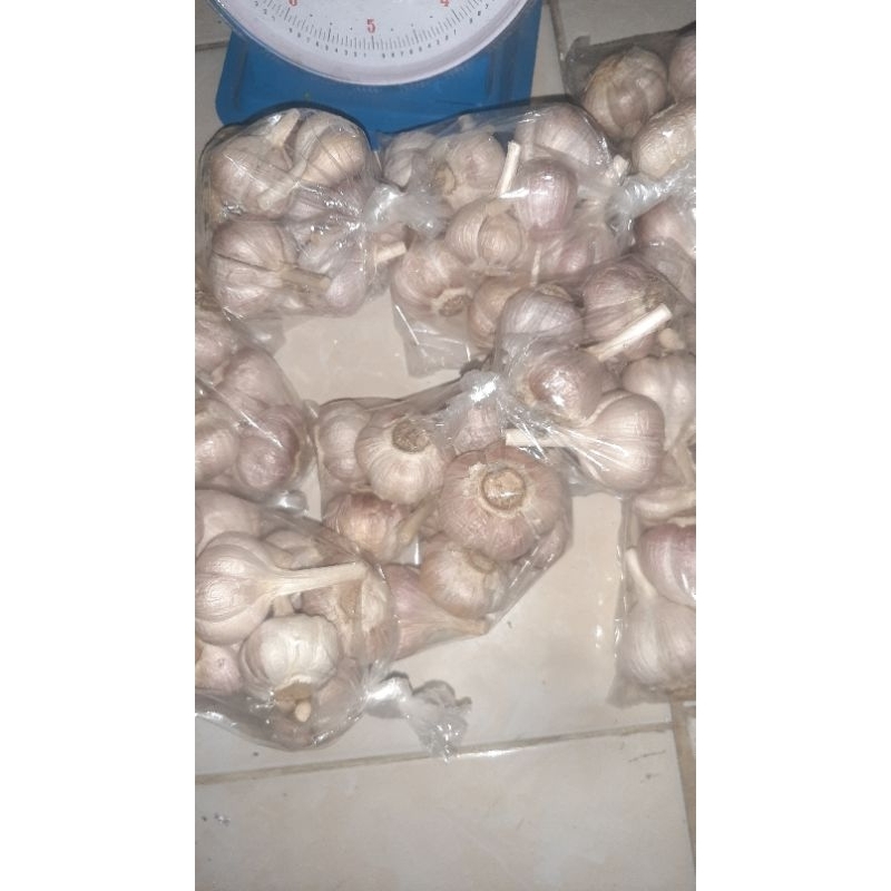 

Bawang putih kating