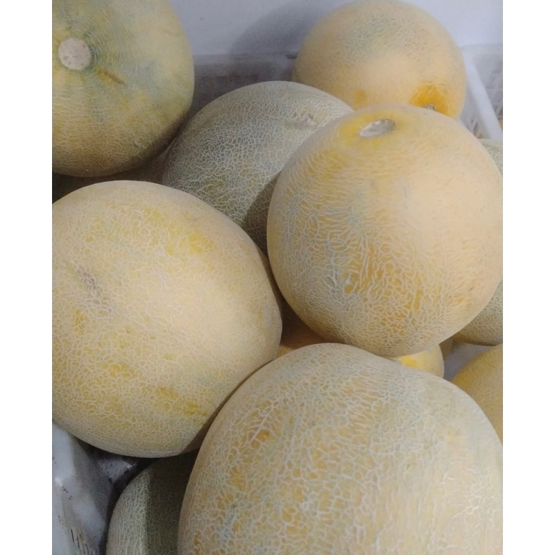 

Melon Jumbo Super Manis Buah Segar Bandung/Toko Buah Hanin