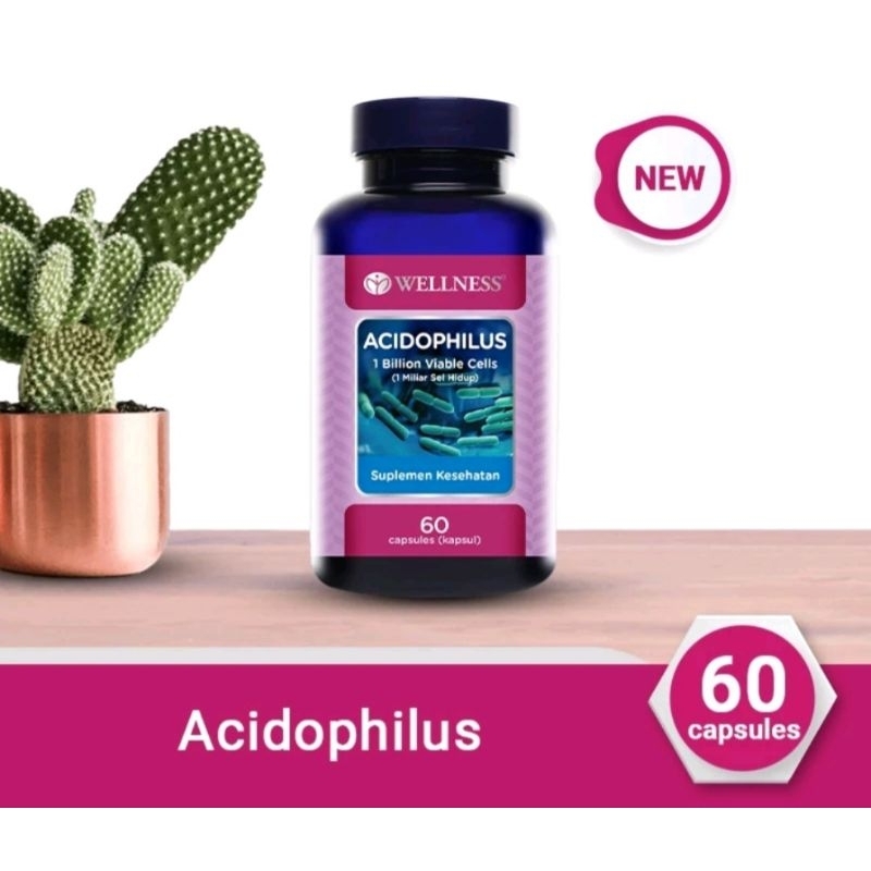 WELLNESS ACIDOPHILUS 60'S