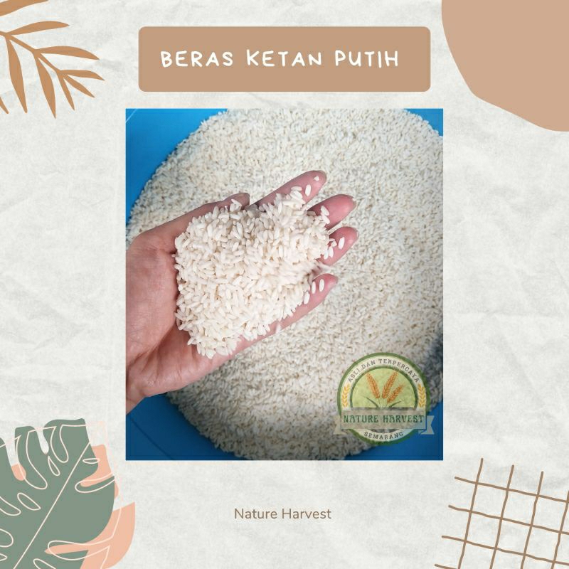 

Beras Ketan Putih Lokal 1 Kg | 5 kg