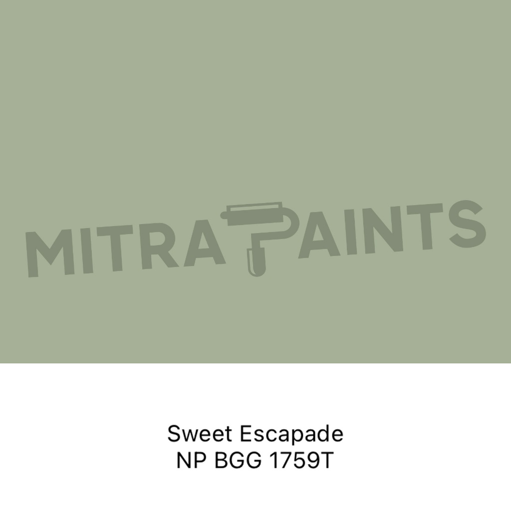 CAT TEMBOK EKSTERIOR INTERIOR NIPPON PAINT SWEET ESCAPADE NP BGG 1759 T / SAGE GREEN