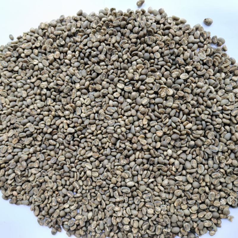 

kopi arabika gayo grade 1