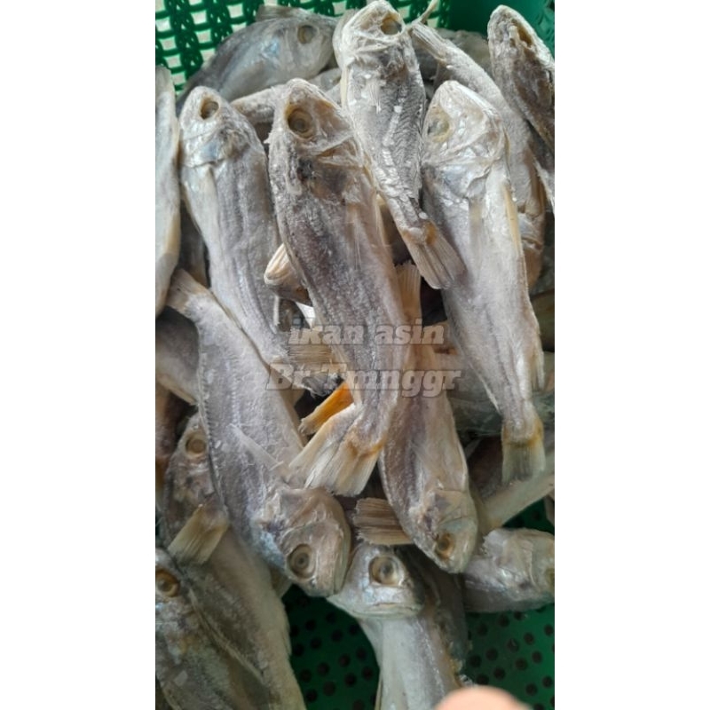 

Ikan asin Kepala Batu 500gram