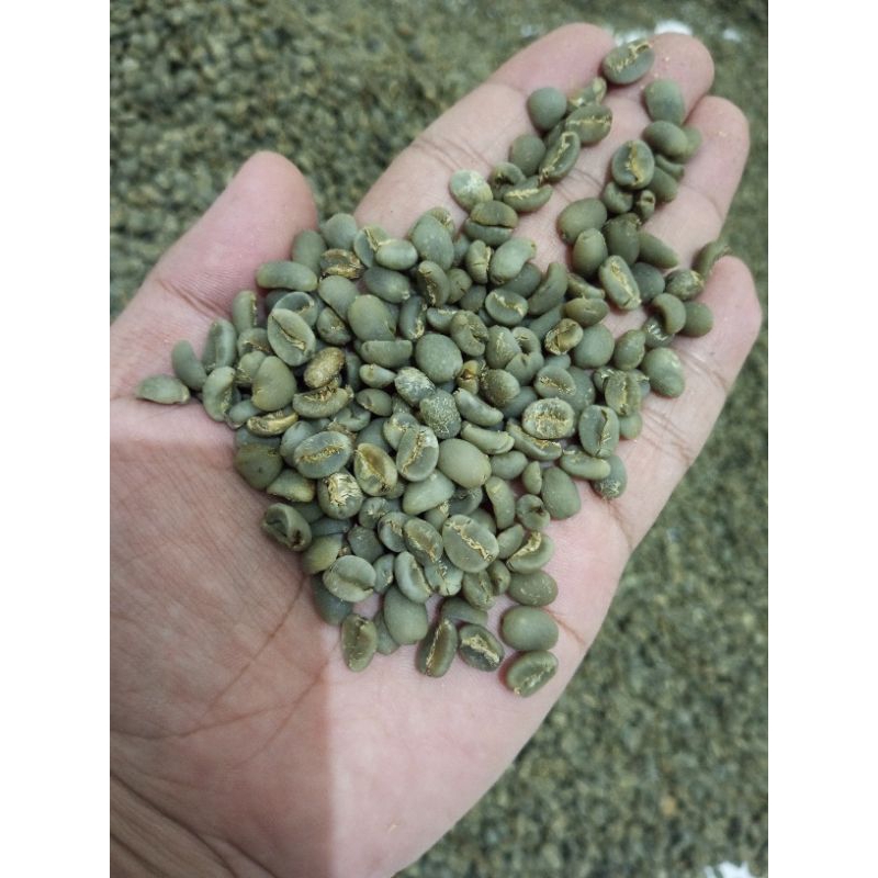 

Kopi Arabika Green Bean Asalan