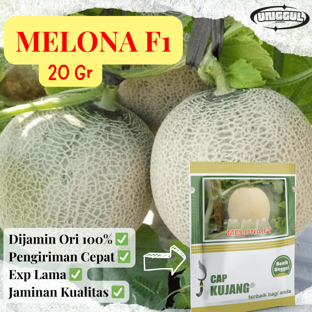 Benih Melon Tahan virus Melona F1 Cap Kujang kemasan 600 biji