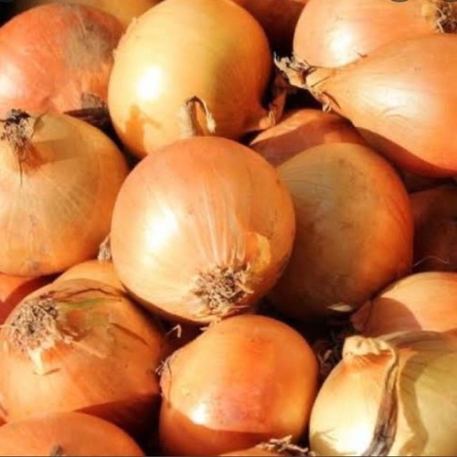 

BAWANG BOMBAY 500 GRAM - 1 KG PREMIUM SUPER