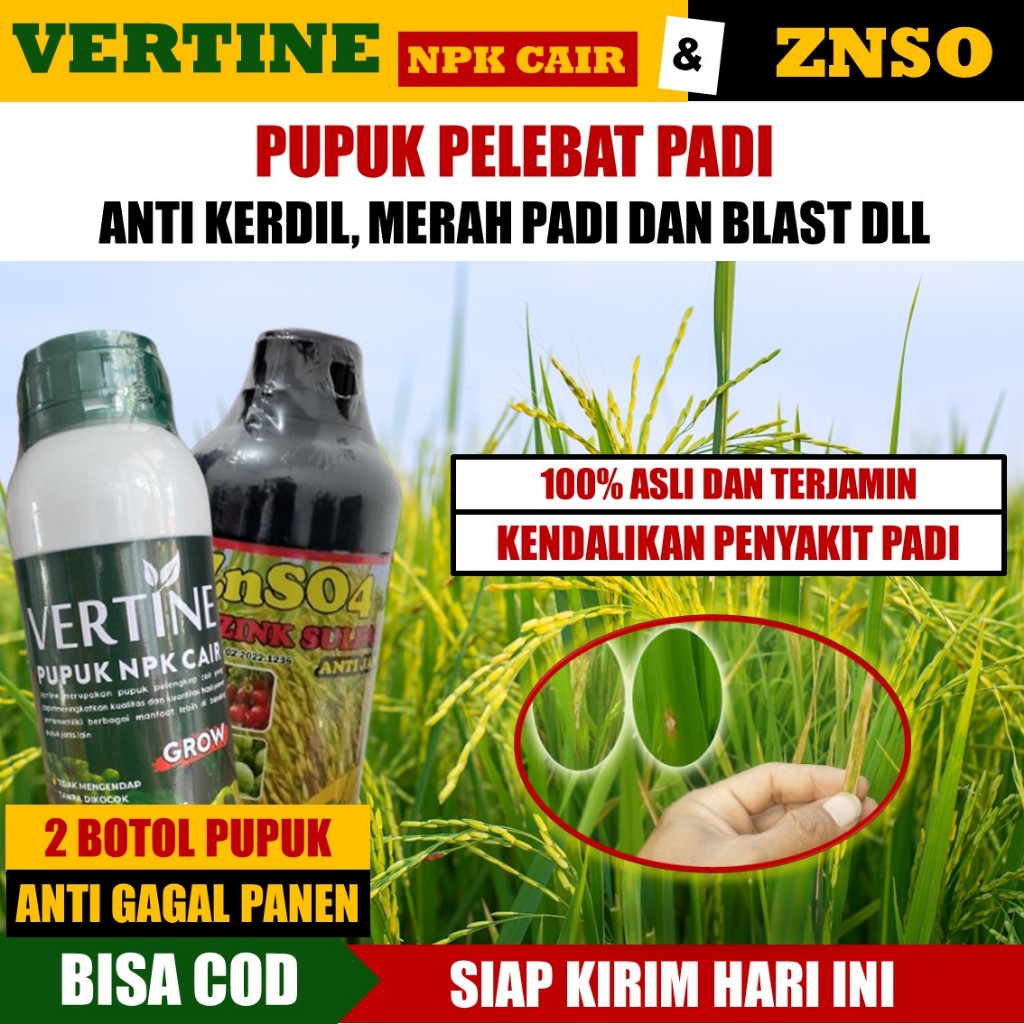 Meningkatkan Hasil Panen Padi dengan VERTINE & ZnSO4: Anti Blast, Merah Padi, dan Ulat Padi