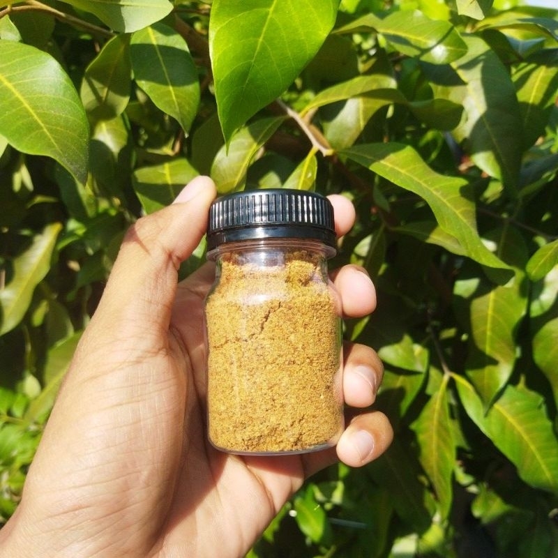 

Gula Aren / Gula Semut / Gula Jawa Khas Dayak / Original