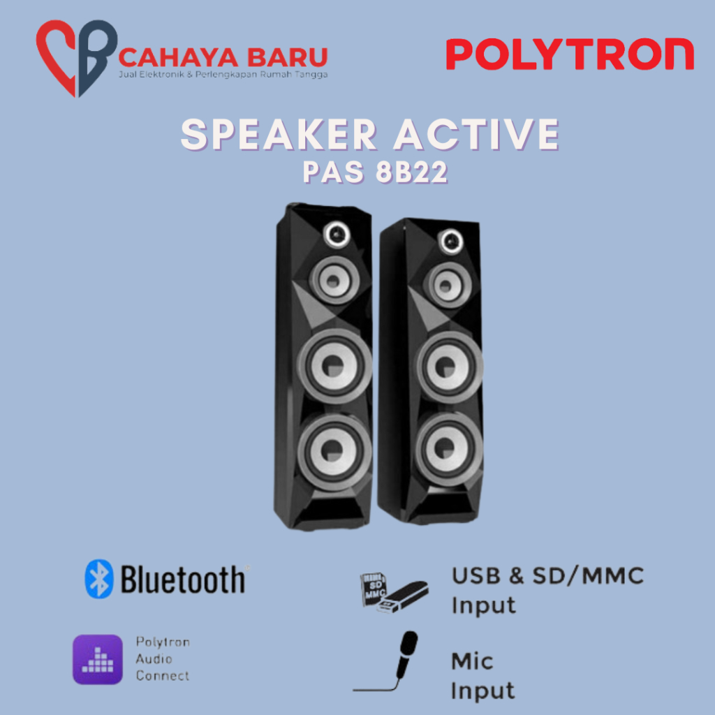 SPEAKER POLYTRON PAS 8B22