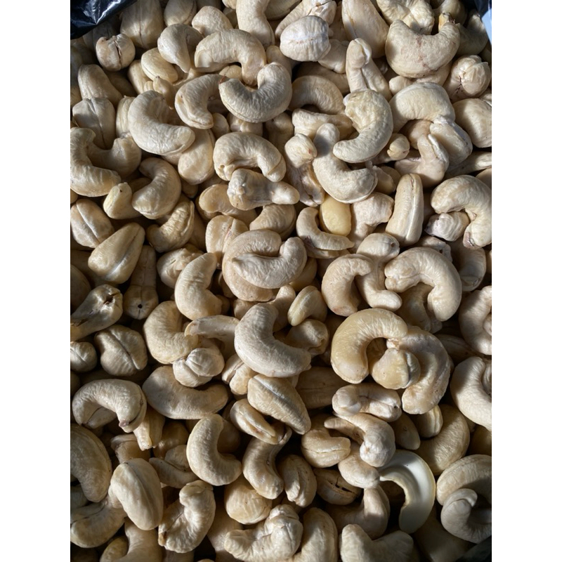 

kacang mede mentah kering