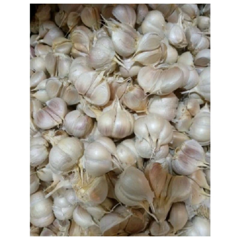 

Bawang putih Kating\Premium 1kg