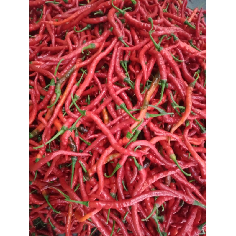 

Lombok Cabai Cabe Merah Kriting CMK kemasan 1 kg gram