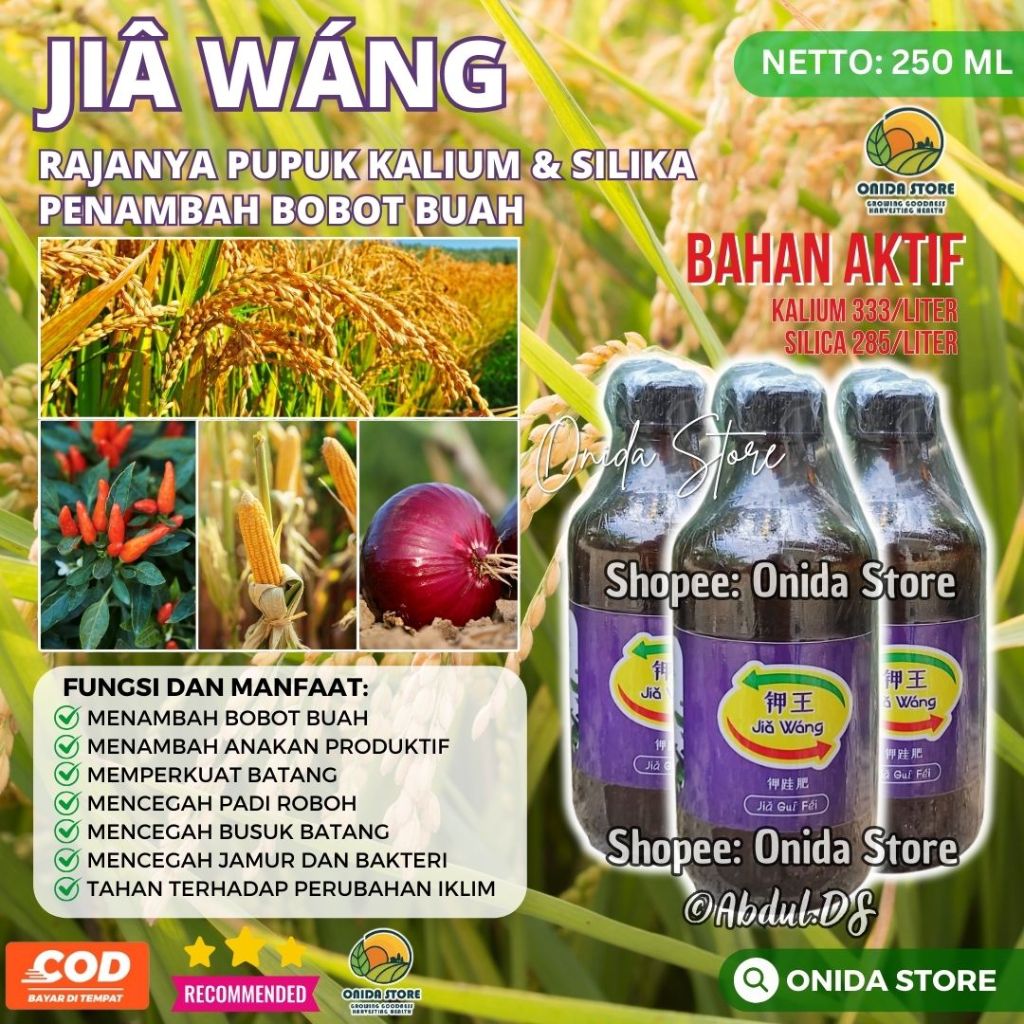 JiaWang - Rajanya Pupuk Kalium dan Silika Murni untuk Menambah Bobot Buah dan Anakan Produktif