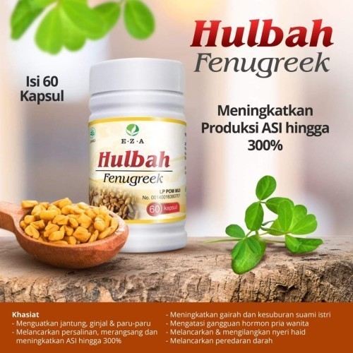 Hulbah Fenugreek