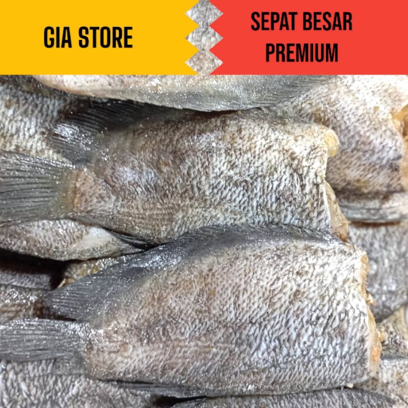 

IKAN ASIN SEPAT BESAR PREMIUM