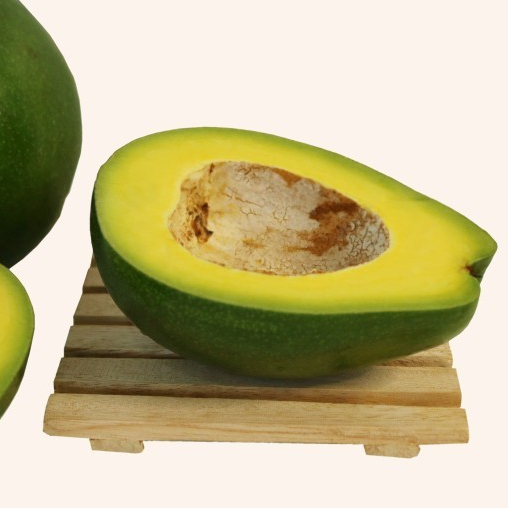 

RB Alpukat Mentega Reguler Raja Alpukat Premium Bergaransi (1KG)