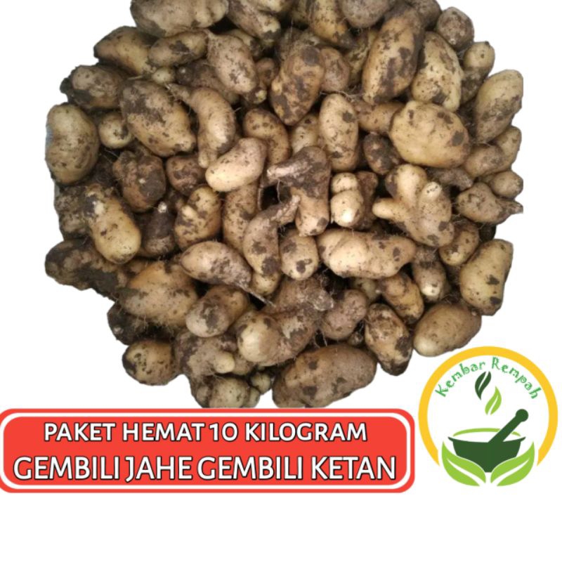 

Paket Murah 10 kilogram Gembili Jahe Gembili Ketan
