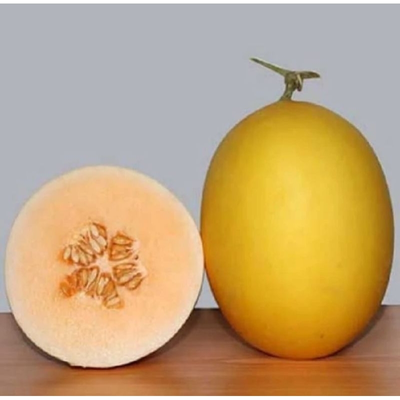 50 Benih Bibit Biji Melon GOLDEN APOLLO SWEET F1, import, Premium Hibrida Seeds Super Manis