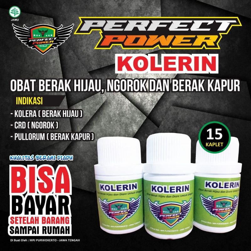 Kolerin Obat Merpati Ngorok Berak Hijau Berak Kapur