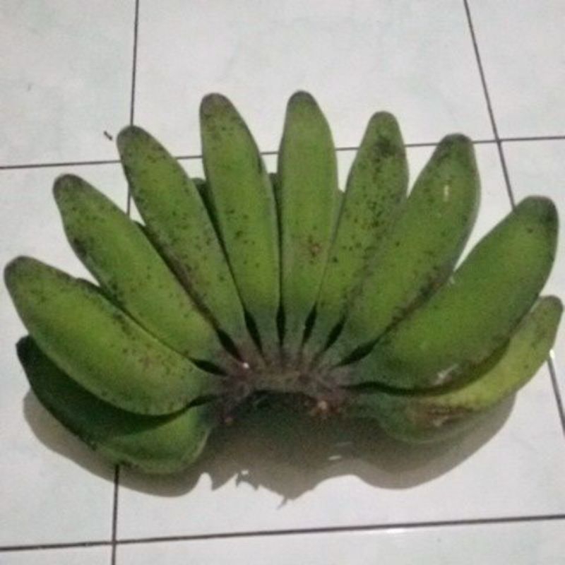 

Buah Pisang kepok / pisang gajeh 1 sisir