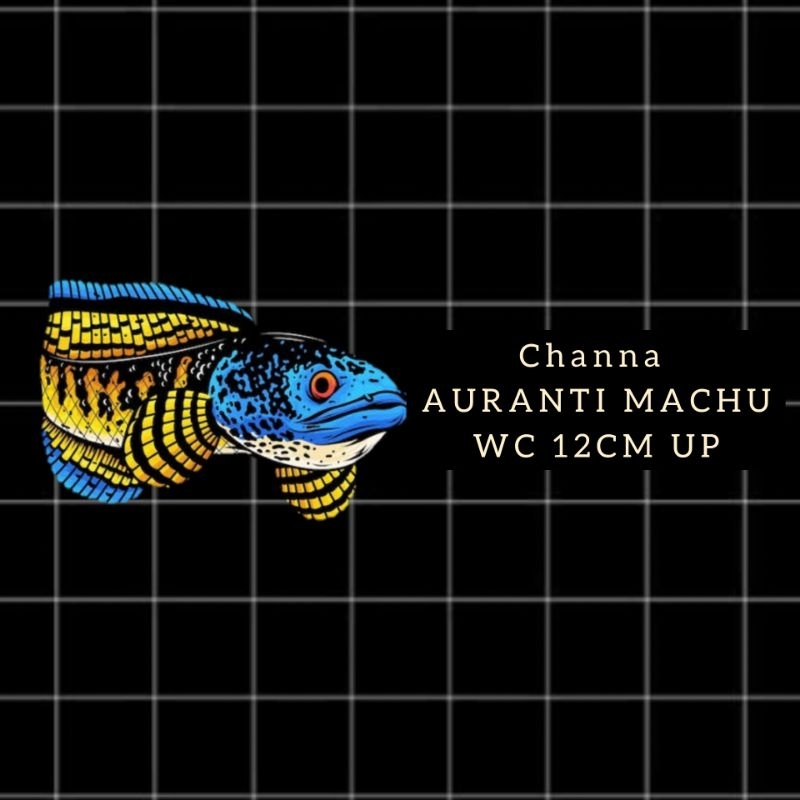 

Sticker channa AURANTI WC 13.14cm