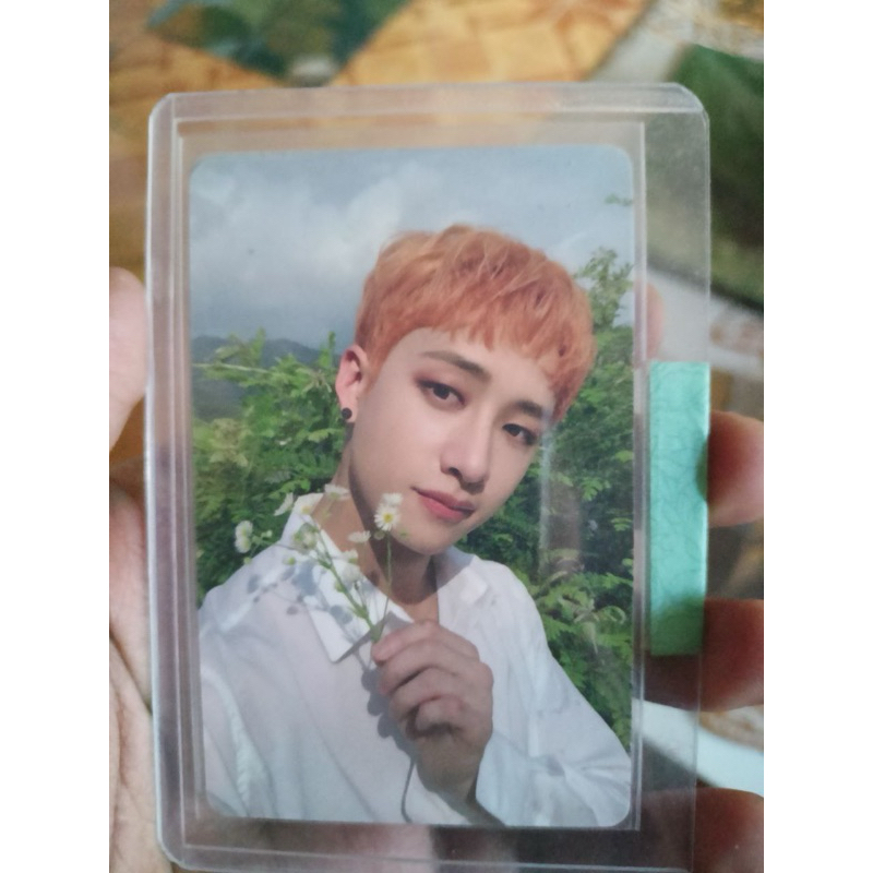 Bangchan Flower Photocard