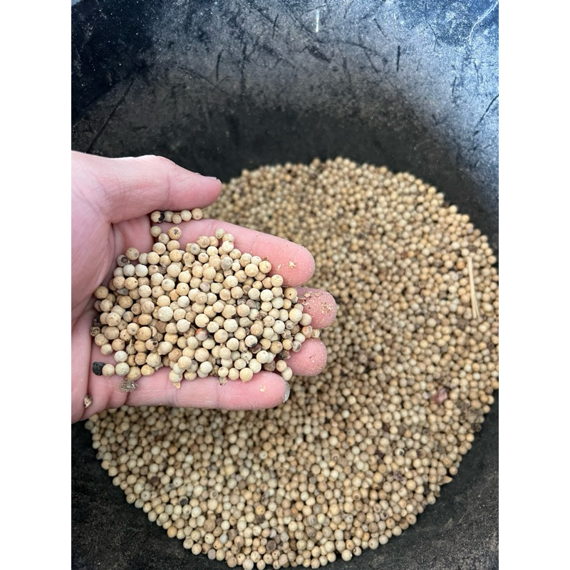 

merica biji / rempah merica bulat 100 gr