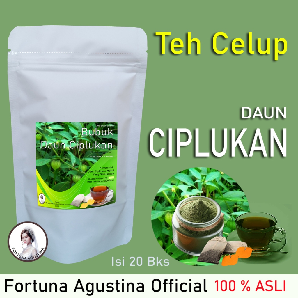 

Teh Celup Daun Ciplukan, Mencegah kanker, penyakit jantung,Stroke