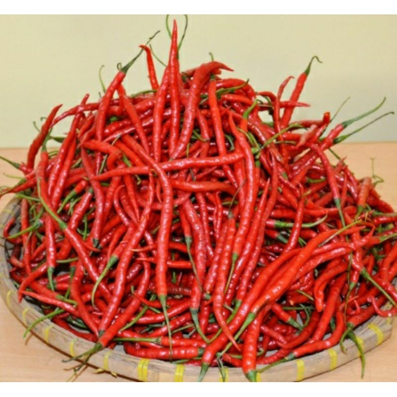 

Cabai merah keriting 250 g