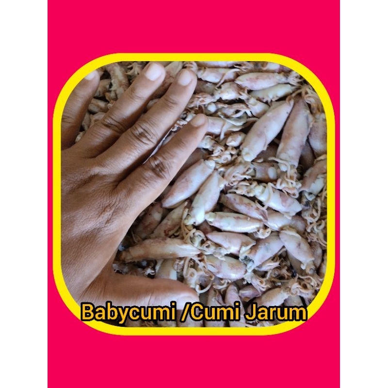 

1 Kg Baby Cumi /Cumi Jarum