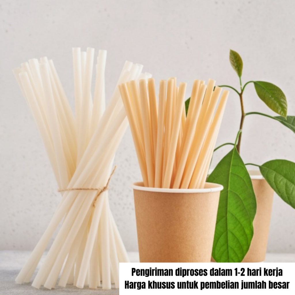[500 pcs] Cassava Straw 6mm 8mm / Sedotan Singkong Ramah Lingkungan Pengganti Sedotan Plastik