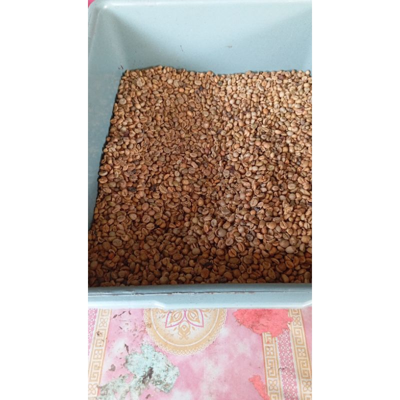 

biji kopi exselsa