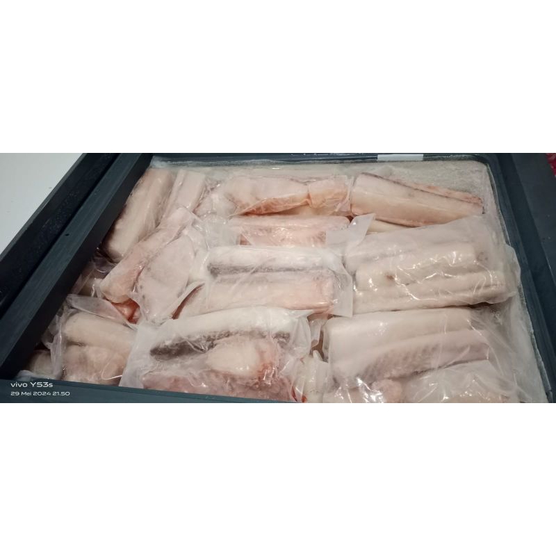

fillet ikan cucut