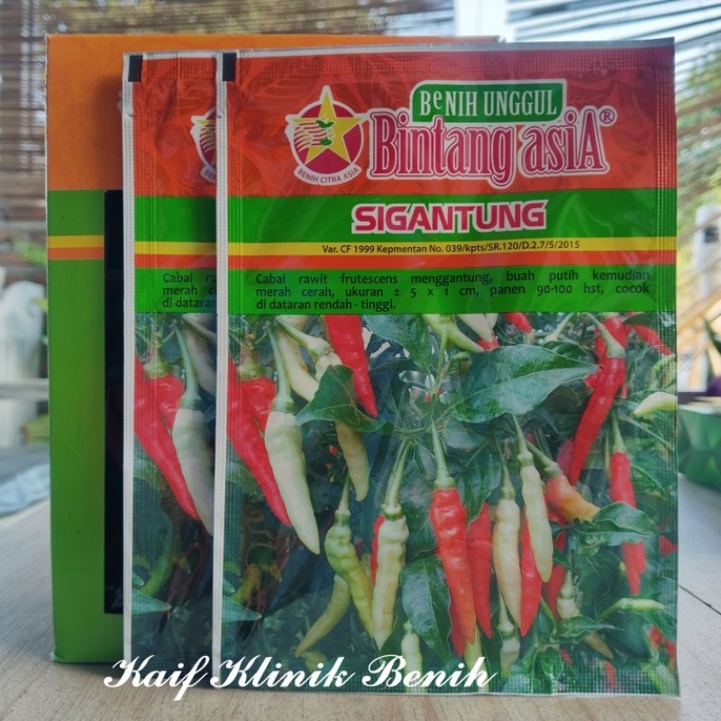 Benih Cabe SIGANTUNG 10 Gram - Benih Cabai Rawit Putih Setan Cap Bintang Asia