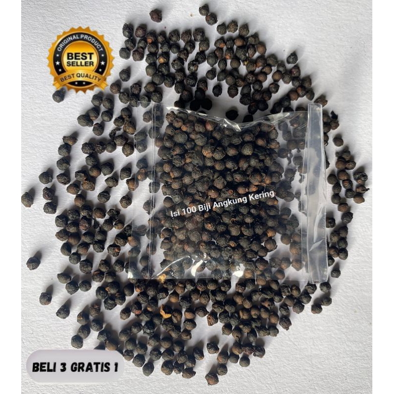 

Biji Angkung Kering Isi 100 + Bonus 20 Biji Premium Atasi Stroke Darah Tinggi