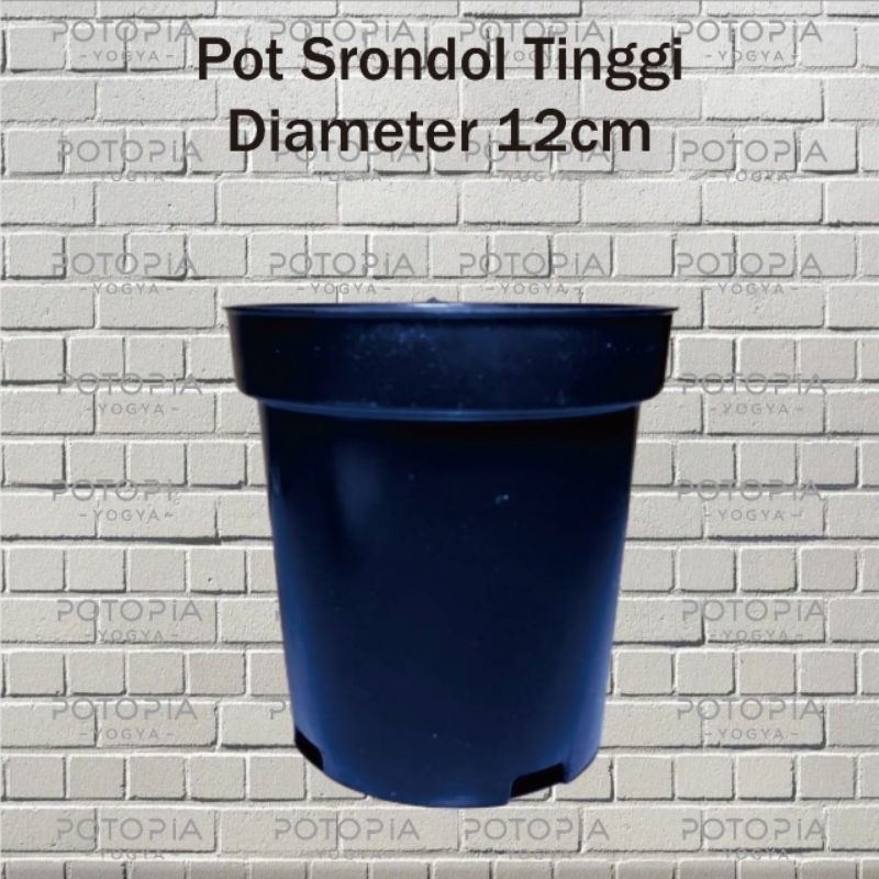 Pot Srondol Tinggi 12