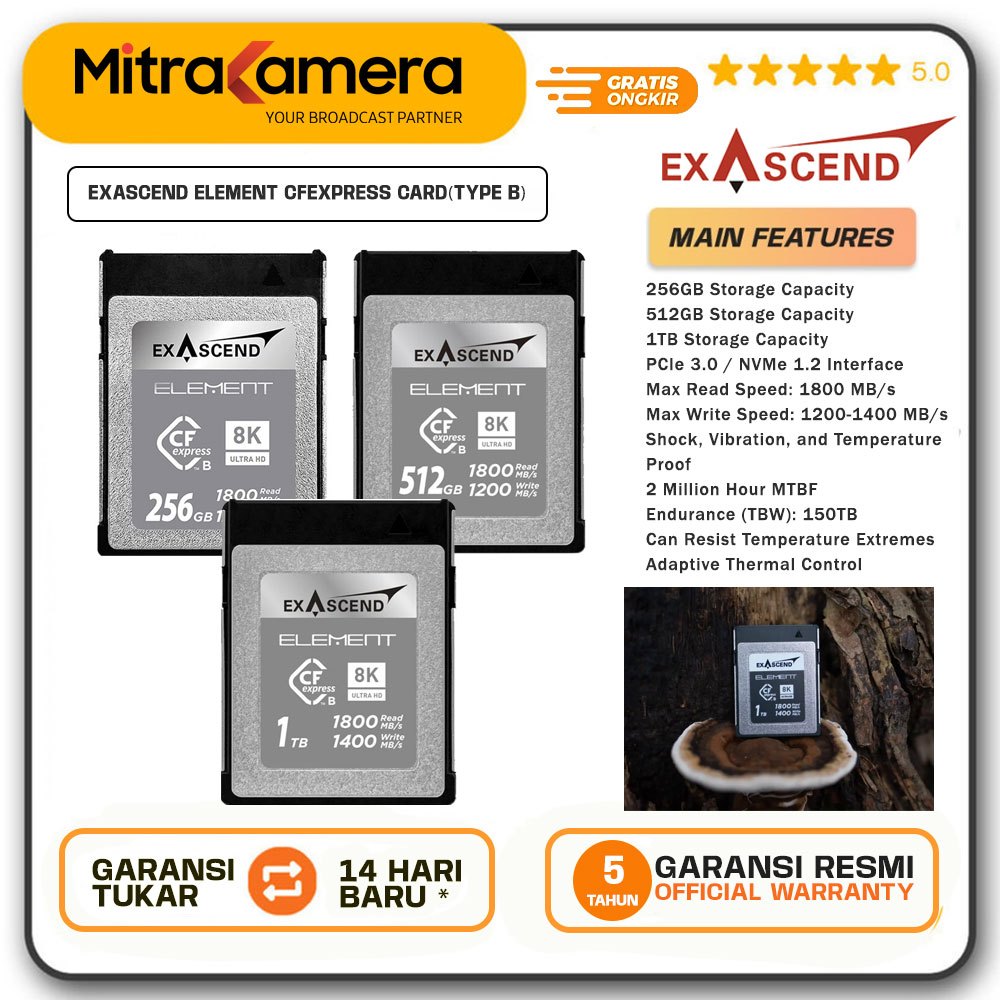 EXASCEND Element CFexpress Card (Type B)