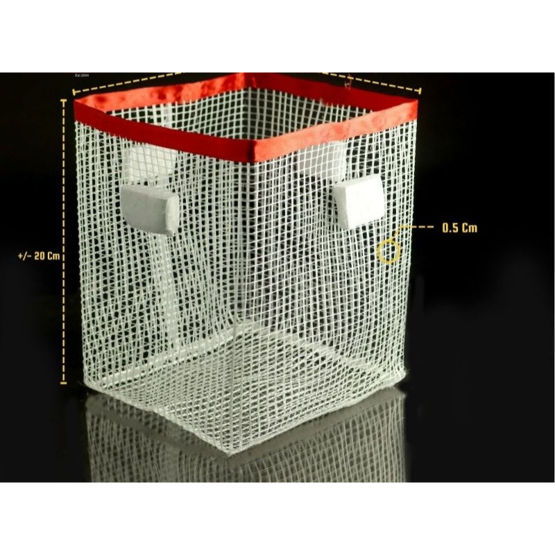 Tempat Box Breeding Guppy Cupang Molly