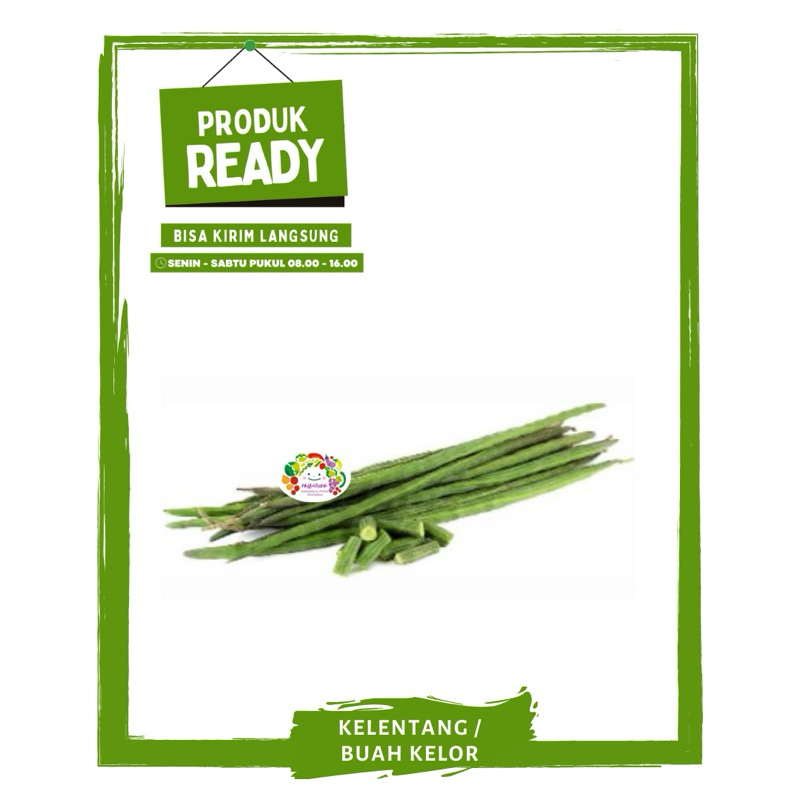 

Kelentang / Buah Kelor / Sayur Sayuran Segar Ready By Mallahrizwa