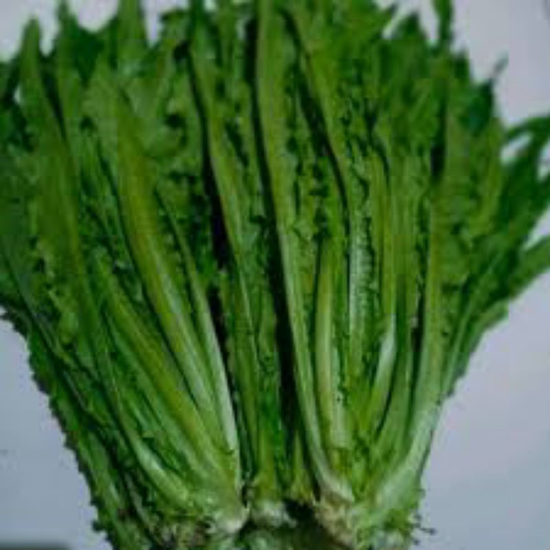 

daun siomak 500gram