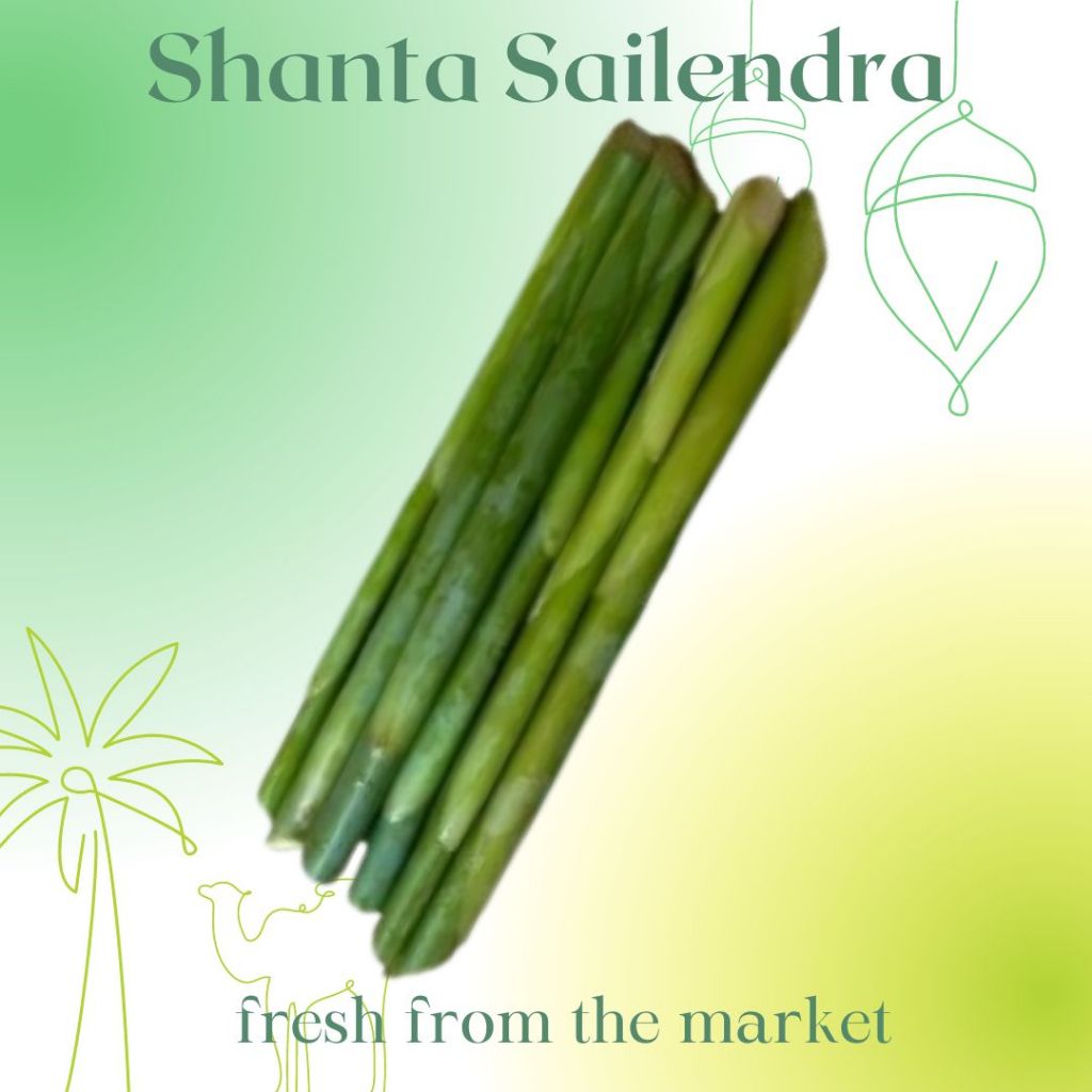 

BATANG BONGKOT KECOMBRANG HONJE 2 BATANG