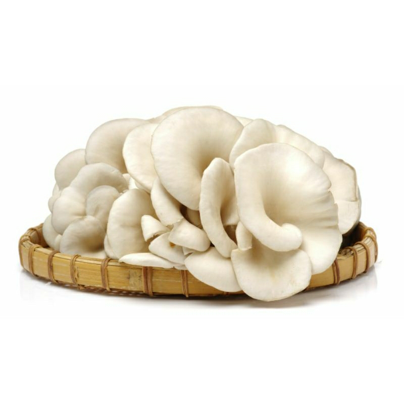 

Jamur tiram 250 gram