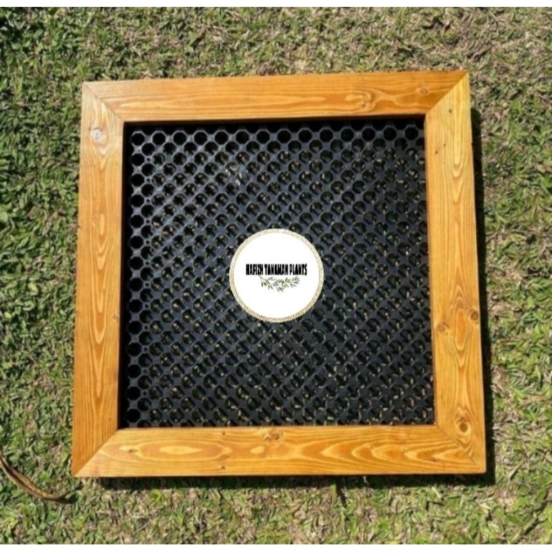 Frame platycerium 50x50 Cm Frame Simbar / Bingkai Platy / Drainase Cell