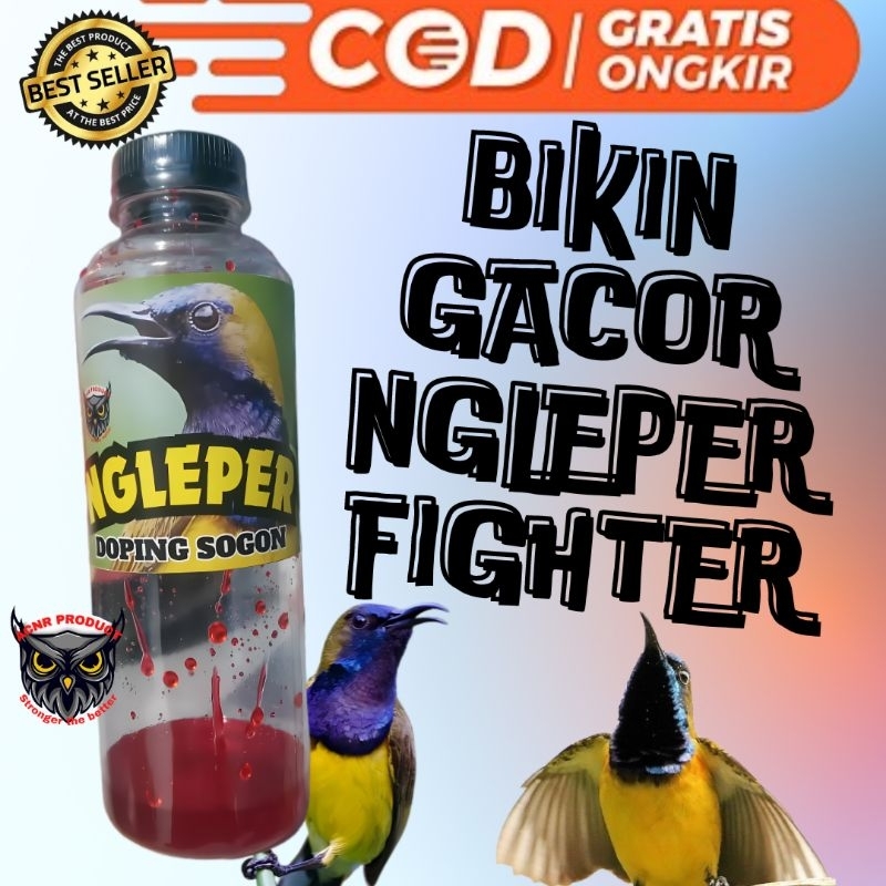 NGLEPER DOPING BURUNG SOGON