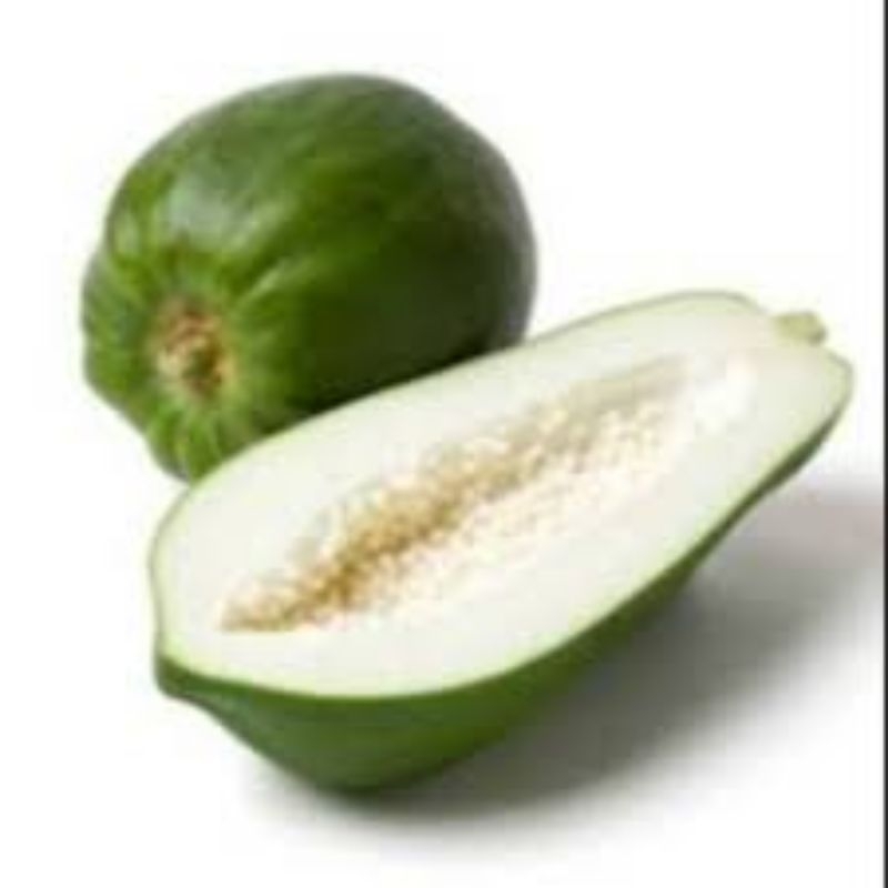 

pepaya muda 1pc